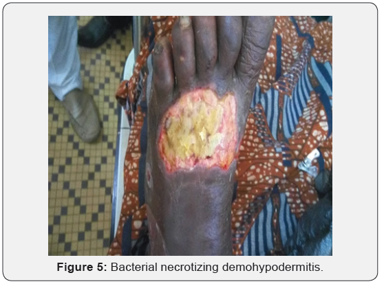 Click here to view Large Figure 5