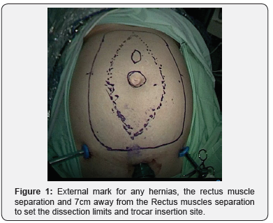 Click here to view Large Figure 1