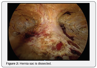 Click here to view Large Figure 2