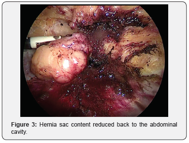 Click here to view Large Figure 3