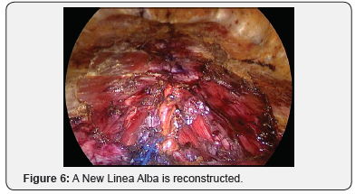 Click here to view Large Figure 6