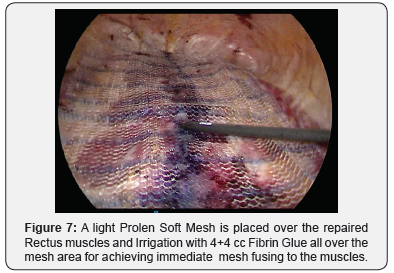 Click here to view Large Figure 7