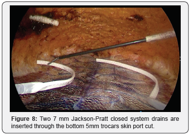 Click here to view Large Figure 8