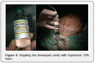 Click here to view Large Figure 9