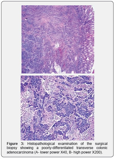 Click here to view Large Figure 3