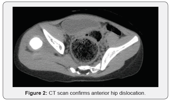 Click here to view Large Figure 2