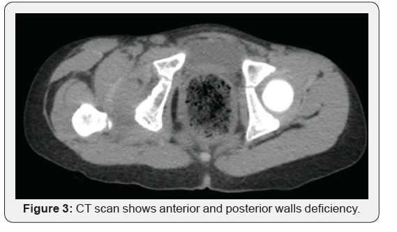 Click here to view Large Figure 3