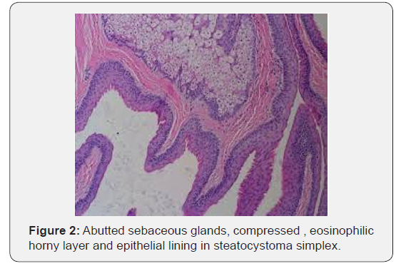 Click here to view Large Figure 2