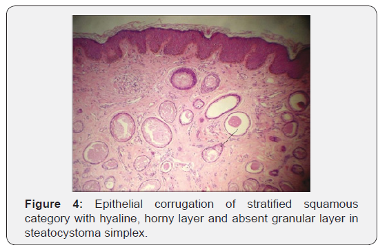 Click here to view Large Figure 4