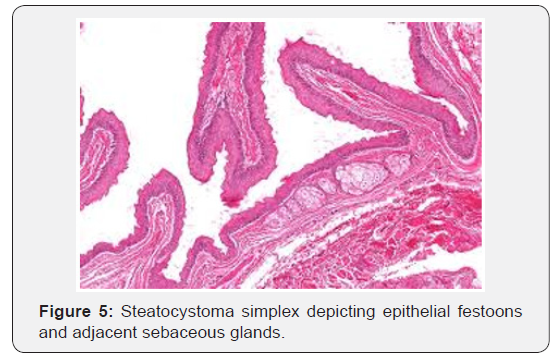 Click here to view Large Figure 5