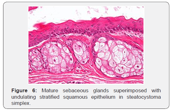 Click here to view Large Figure 6
