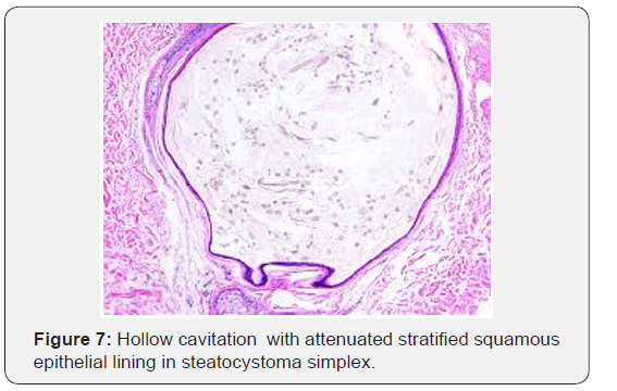 Click here to view Large Figure 7