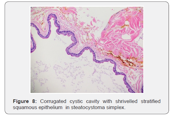 Click here to view Large Figure 8