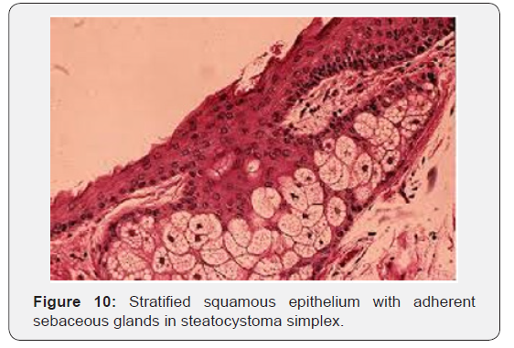 Click here to view Large Figure 10