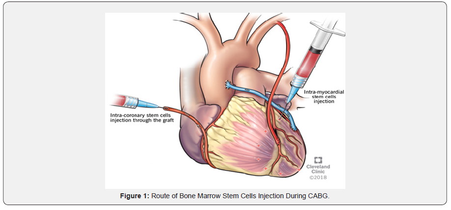 Click here to view Large Figure 1