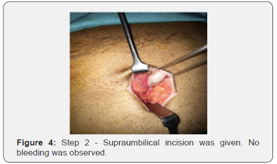 Click here to view Large Figure 4