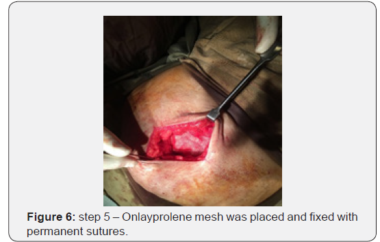 Click here to view Large Figure 6