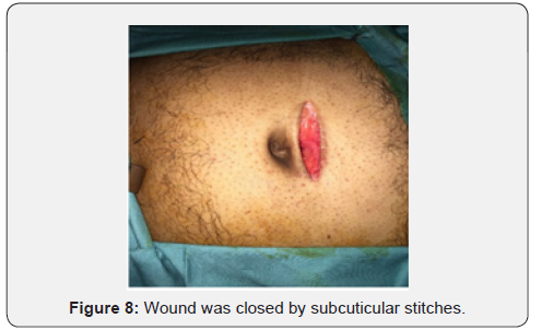 Click here to view Large Figure 8