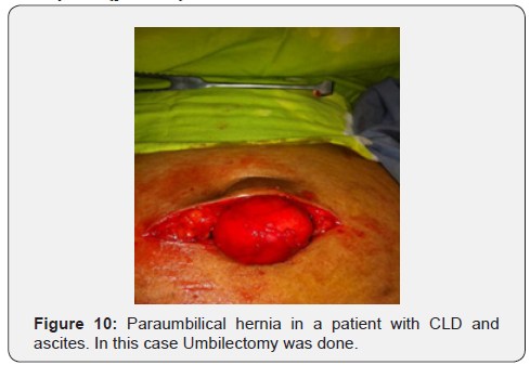 Click here to view Large Figure 10