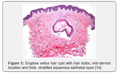 Click here to view Large Figure 5