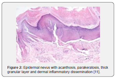 Click here to view Large Figure 2 Open Access Journal of Surgery