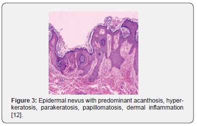 Click here to view Large Figure 3 Open Access Journal of Surgery