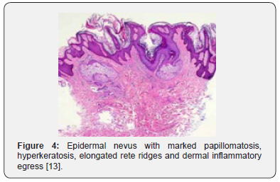 Click here to view Large Figure 4 Open Access Journal of Surgery