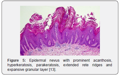 Click here to view Large Figure 5 Open Access Journal of Surgery