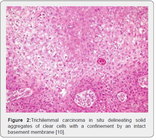 Click here to view Large Figure 2 Open Access Journal of Surgery