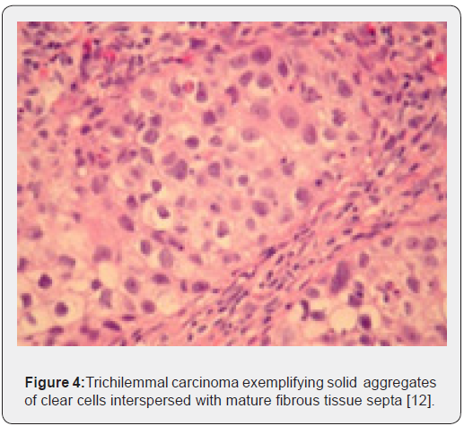 Click here to view Large Figure 4 Open Access Journal of Surgery
