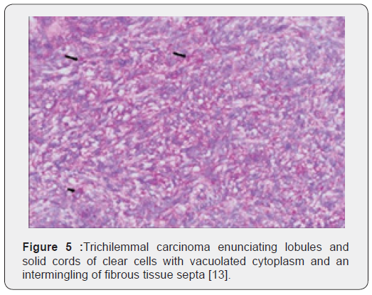 Click here to view Large Figure 5 Open Access Journal of Surgery