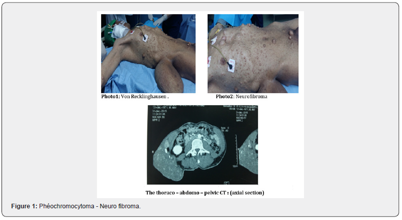 Click here to view Large Figure 1