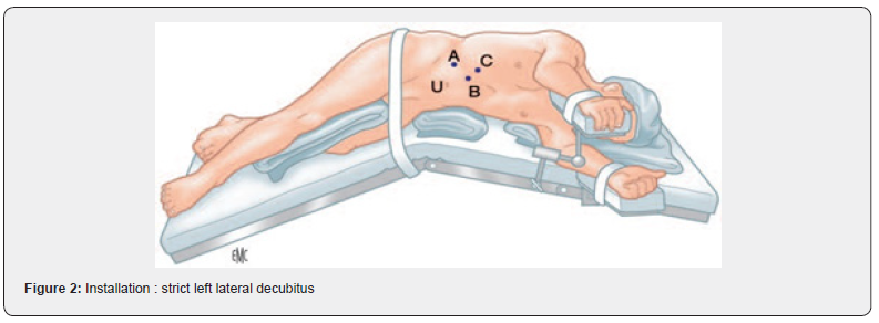 Click here to view Large Figure 2