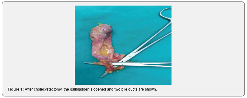 Click here to view Large Figure 1