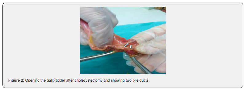 Click here to view Large Figure 2