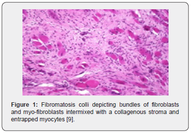 Click here to view Large Figure 1