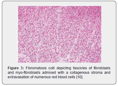 Click here to view Large Figure 3