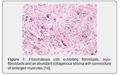 Click here to view Large Figure 7
