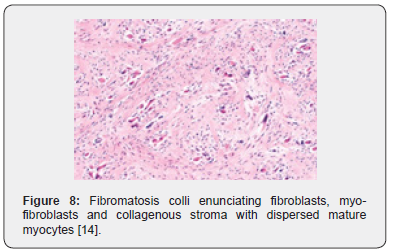 Click here to view Large Figure 8