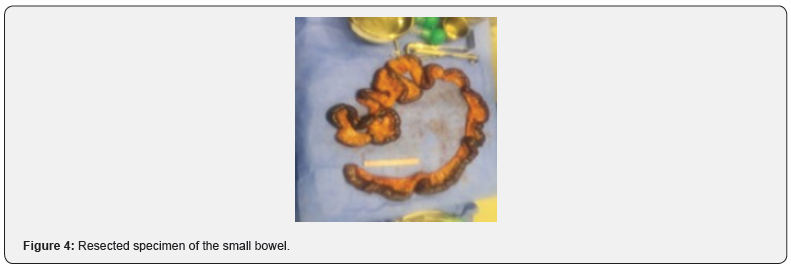 Click here to view Large Figure 4