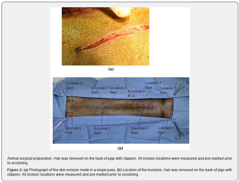 Click here to view Large Figure 2