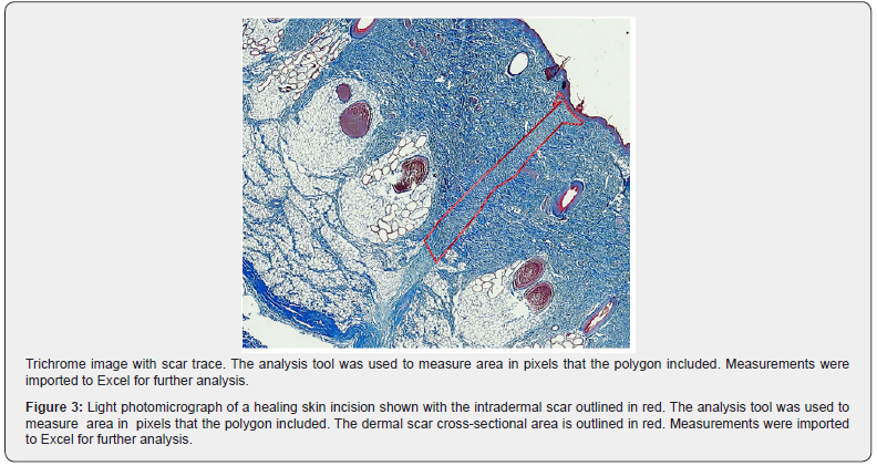 Click here to view Large Figure 3