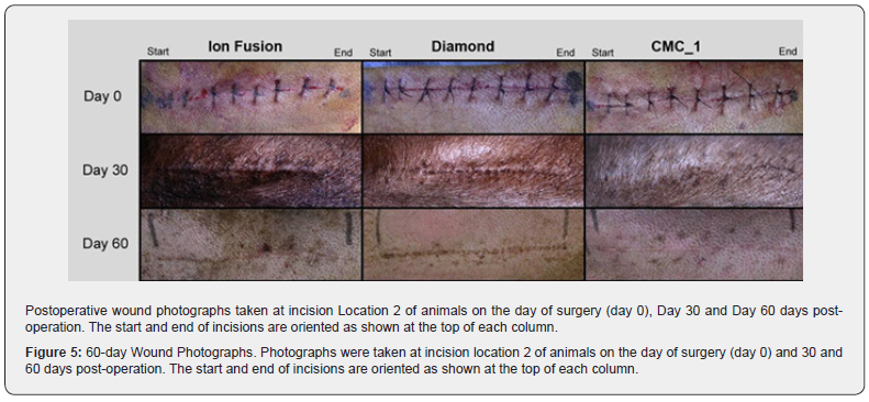 Click here to view Large Figure 5