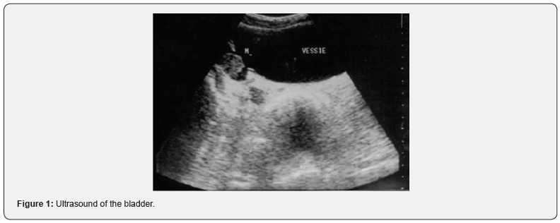 Click here to view Large Figure 1