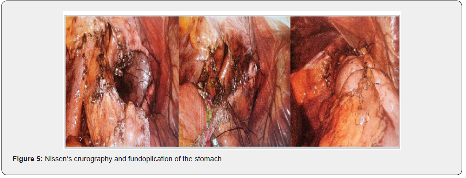 Click here to view Large Figure 5 Material Science