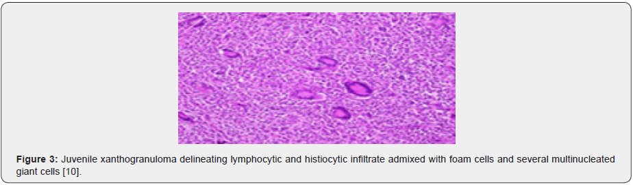 Click here to view Large Figure 3 Material Science