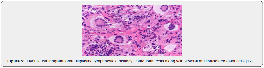 Click here to view Large Figure 5 Material Science