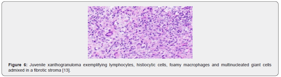 Click here to view Large Figure 6 Material Science