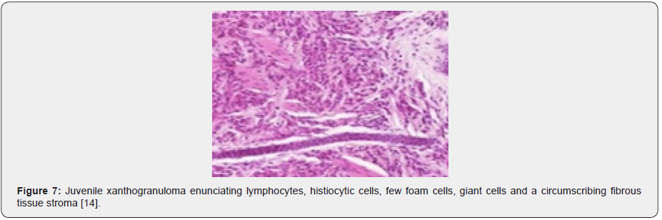 Click here to view Large Figure 7 Material Science