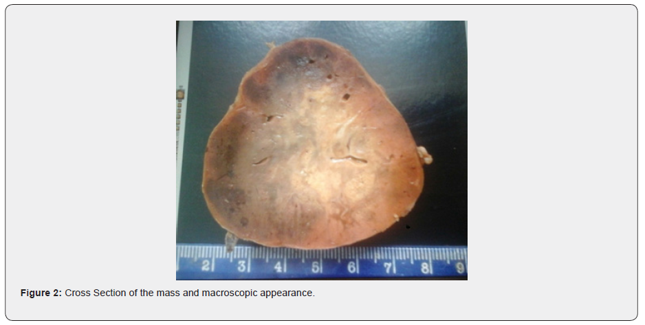 Click here to view Large Figure Material Science